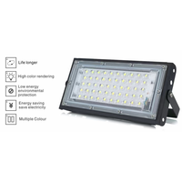 Super luminosité 100W 200W 50W AC 220V 110V étanche IP66 Cob puce projecteur lampe projecteur extérieur projecteur projecteurs