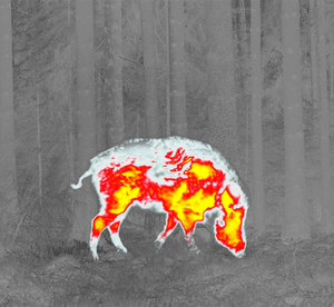 2025 Ht-C8 IR kỹ thuật số hồng ngoại nhiệt bằng một mắt telescopio Kính thiên văn tầm nhìn ban đêm phạm vi máy ảnh video người xem - Product Image 6