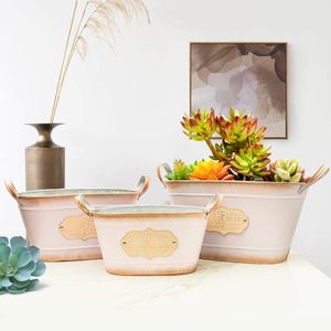 <b>Small</b> Vintage Style Metal Planter Indoor/Outdoor Iron Flower <b>Pot</b> with Handles for Home Garden or Decorative Metal Bucket - Product Image 2