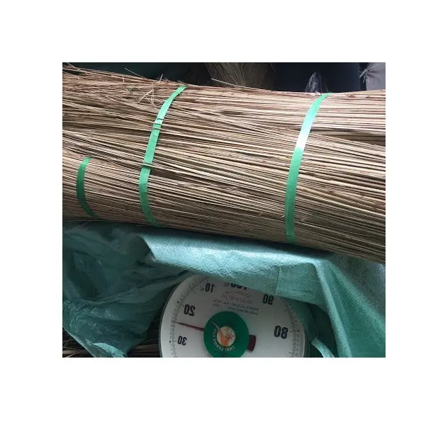 Good Price Coconut Broom Stick/Wood Broom Stick Made in Vietnam