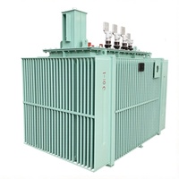 Transformateur de puissance triphasé immergé dans l'huile S20-M-1600/10-0.4KV 50Hz/60Hz à noyau en cuivre haute tension