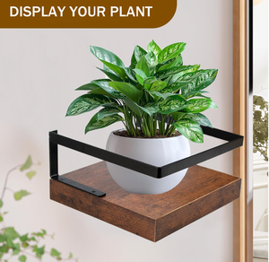 <strong>Natural</strong> Wood Wall <strong>Shelves</strong> Multifunction Wooden <strong>Shelves</strong> for Small Items Plants Candles - Product Image 4