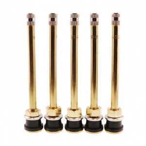 La mejor Válvula de neumático de camión TR573 TR572 Válvula de neumático sin cámara de latón para camión y autobús - Product Image 6
