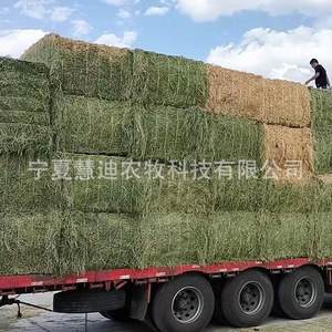 Pacas de Heno de Alfalfa para Yaks, Caballos, Camellos, Cabras Lecheras, Alpacas, Alimento y Nutrición - Product Image 4