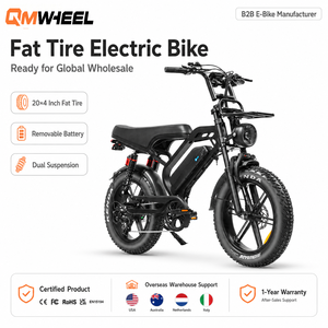 QMHEEL V20Limited 48V Electric Fat Tire Bike Electric City Bike Lithium Battery Factory Direct for Ebike Store Brand Supply - Product Image 1