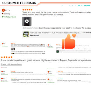 TOPREX Nouveaux Produits IP65 Latern Kareem Lumières Lune et Étoile Pièces <span class=keywords><strong>de</strong></span> Décoration pour Événement Ramadan Attraction Disposition - Product Image 3