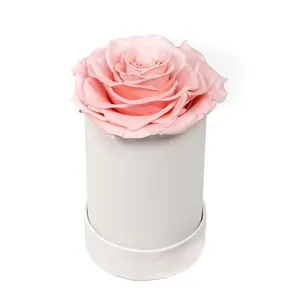 2024 idée de cadeaux de fête des mères stabilisé Infinity Forever Dose Roses avec parfum en gros fleur éternelle préservée de luxe dans une boîte