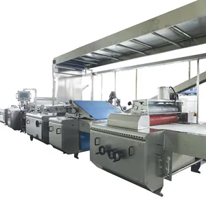 Fully Automatic Capacity 600KGS Per Hour Soft&Cookie Production Line with Gas Tunnel Oven