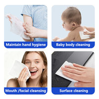 Échantillon GRATUIT : Lingettes Humides Mini Format Tendance, Écologiques, Nouvelle Version, Petit Paquet Portable, Lingettes Humides de Voyage