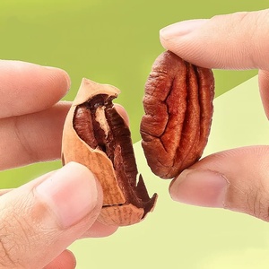 Wholesale Premium Pecan Nuts Large Granules Pecan <strong>Kernels</strong> Dried Vanilla Flavor Super Easy to Crack Food - Product Image 3