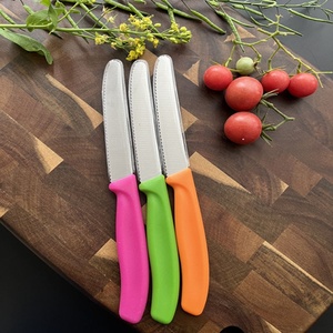 Ensemble de couteaux à steak dentelés multicolores, couteaux de table en acier inoxydable, directement de l'usine, pour l'hôtellerie, la restauration et les fournitures HORECA - Product Image 4