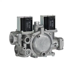 Bán Hot đ<span class=keywords><strong>a</strong></span> chức năng đôi solenoid điều khiển tự động van để bán - Product Image 4