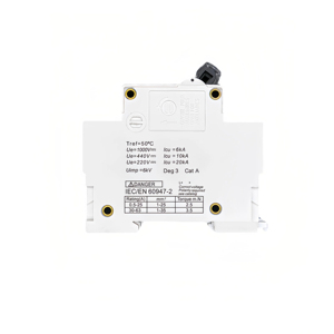 Chfbec 80A 100A 125A พลาสติก C120H-DC 1000V 2P DC ตั<span class=keywords><strong>ด</strong></span>วงจรทำลาย20kA ความจุสำหรับระบบ PV โค้งแบตเตอรี่หลัก - Product Image 3