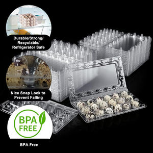 Plateau <span class=keywords><strong>de</strong></span> 18 Alvéoles en Plastique Blister <span class=keywords><strong>pour</strong></span> Œufs <span class=keywords><strong>de</strong></span> Caille – Emballage <span class=keywords><strong>pour</strong></span> Œufs <span class=keywords><strong>de</strong></span> Caille <span class=keywords><strong>pour</strong></span> l'Agriculture - Product Image 5