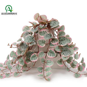 Chaîne artificielle de coeurs vignes sans Pot plantes en plastique pour salon salle à manger étagère bureau Table basse décor - Product Image 3