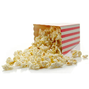 ZHANTIAN Zh-800P 2000kg電気自動ポップコーンボックス接着機食品用途金属ケース包装 - Product Image 6