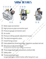 Kits de Autogás reductor/regulador de Gnv/Gnc