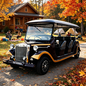 Voiture électrique de tourisme vintage classique de luxe pour les centres de villégiature et les hôtels, 2 places, 4 roues, neuve avec garantie de 2 ans - Product Image 1