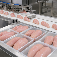 Filets de poitrine de poulet surgelés IQF de qualité supérieure, viande de volaille entière pour la restauration et la transformation en gros