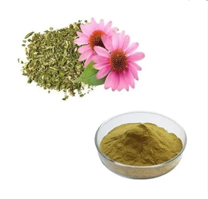 Beste Prijs Hoge Kwaliteit Biologische <span class=keywords><strong>Echinacea</strong></span> Purpurcea Poeder Te Koop - Product Image 4