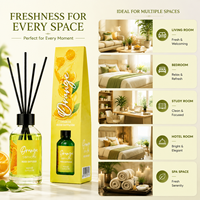 Diffuseur de parfum d'ambiance 100 ml, cartons de senteurs variées pour les acheteurs de supermarchés et les distributeurs de décoration intérieure