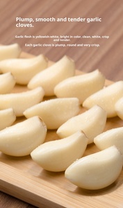[Usine] Shandong Ail cru Fruit moyen 0.50kg Ail <span class=keywords><strong>en</strong></span> tranches séché Source <span class=keywords><strong>de</strong></span> gros <span class=keywords><strong>de</strong></span> qualité peau blanche - Product Image 5