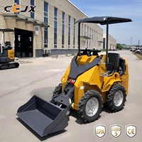 Minicargadora Multifuncional con Plataforma para Operador, Cumple con las Normas EPA Euro5, Equipada con Cucharón 4 en 1 para Proyectos Terrestres