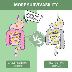 Jugo en Polvo Slim Enzyme, <span class=keywords><strong>Quema</strong></span> <span class=keywords><strong>Grasa</strong></span> Corporal, Supresor del Apetito, Acelera el Metabolismo, Controla <span class=keywords><strong>la</strong></span> <span class=keywords><strong>Quema</strong></span> de <span class=keywords><strong>Grasa</strong></span>, Desintoxicación - Product Image 4