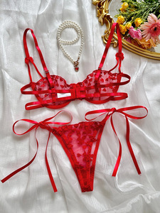 Red Heart Embroidery Lace Lingerie <b>Set</b> <b>Sexy</b> Sheer Mesh Intimates Underwire Bra and Tie Side Thong Panties <b>Set</b> 2 Piece OEM ODM - Product Image 4