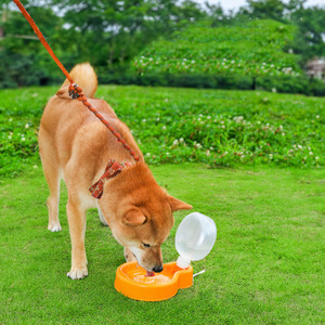 350ml Portable Travel <strong>Puppy</strong> <strong>Water</strong> Bowl Pet Outdoor Walking Leak Proof Foldable Dog Drinking <strong>Water</strong> <strong>Bottle</strong> - Product Image 4