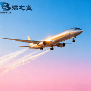 <span class=keywords><strong>Service</strong></span> porte à porte Agent d'expédition de marque États-Unis Royaume-Uni Europe France Top 10 des sociétés de logistique pour l'expédition express aérienne DHL UPS FedEx - Product Image 4