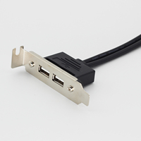 Cable de montaje en panel USB Dupont de 9 pines a 2 puertos para computadora PC Case USB Socket