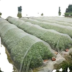 Bağ bahçesi anti kuş netleştirme malla parajailas pajaros bağ arı/böcek netleştirme