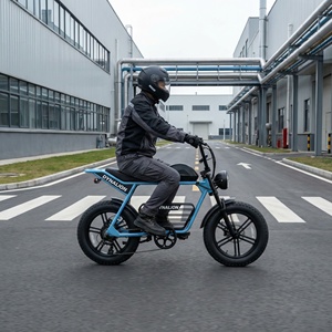Hoogwaardige, klaar voor gebruik in de stad, elektrische fiets met hoge dekking, 48V 16Ah accu, utiliteitsfiets voor fabriekbezoekers en tourroutes. - Product Image 2