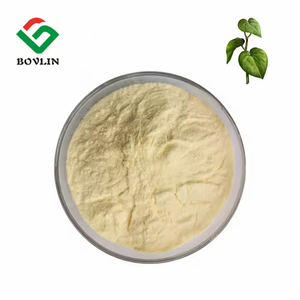 Yüksek kaliteli doğal Kava kök ekstresi tozu saf 30% Kavalactones - Product Image 2