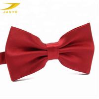 Pita Dasi Anjing Sutra Satin Polos OEM Pabrik, Elegan, Dapat Dilepas, Kerah Hewan Peliharaan, Cetak Kustom untuk Aksesoris Hewan Peliharaan di Hari Raya dan Pernikahan