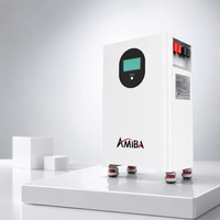 Batterie murale solaire domestique 10 kWh 200 Ah 51,2 V LiFePO4, système de stockage d'énergie domestique pour l'alimentation de secours de l'énergie solaire