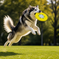 Disque volant pour chien en TPU jaune fluorescent, 220/230/240 mm, jouet interactif pour chien