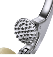 Ensemble d'ustensiles de cuisine multifonctions en métal durable : Presse-ail, Éplucheur à 3 rouleaux et Brosse de nettoyage - Presse-ail/Gingembre Premium