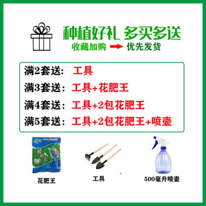 Plastic flower <b>pots</b> for growing vegetables, <b>rectangular</b> flower <b>pots</b> for balcony gardening, Nordic style, household potted - Product Image 5