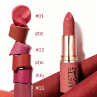 Nouvel Arrivage Rouge à Lèvres Bullet Végétalien Imperméable Fini Mat Velours Givré Anti-transfert Aspect Naturel Gloss à Lèvres Effet Brume Personnalisé OEM