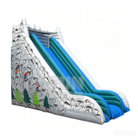 FAN BOUNCE Glissade Gonflable Sèche Grise pour Jeu d'Équipe, Utilisation Extérieure, Domestique et Commerciale, Matériau PVC
