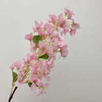 Offre Spéciale : Plante Artificielle de Plafond, Fleur de Bougainvillier, Bonsaï de Bougainvillier à Vendre