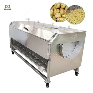 Industrial Electric Brush Roller Vegetable Cleaning Ginger Carrot Sweet Potato Washing And Peeling Machine Price