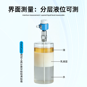 Instrument de mesure de niveau capacitif série FMI E+H Endress+Hauser, instrument de mesure d'interface, original, industriel, fabriqué en Chine - Product Image 5