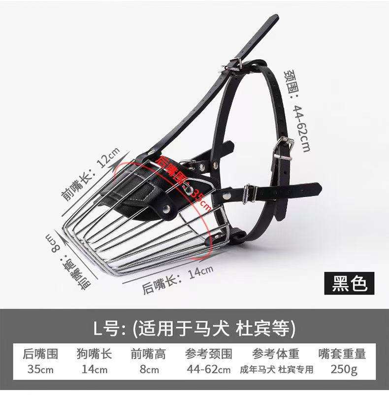 Doberman Pinscher Noir