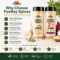 Poudre d'oignon déshydratée à texture fine, mélange d'épices lisse pour assaisonnements et sauces