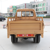 Tricycles de fret à essence 250cc de luxe, neufs, pour adultes, exportés par l'usine chinoise