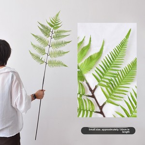 ต้นเฟิร์นประดิษฐ์ขนาดใหญ่สำหรับตกแต่งห้างสรรพสินค้าและร้านค้า ใบ<span class=keywords><strong>เฟิร์น</strong></span>สไตล์ป่าไม้ ต้นไม้ประดิษฐ์สีเขียว - Product Image 6