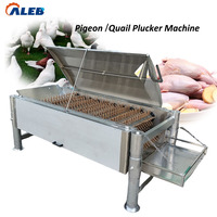 Échaudeuse automatique à godets inclinables pour cailles et pigeons, en acier inoxydable, pour petits oiseaux, avec fonction de plumeuse